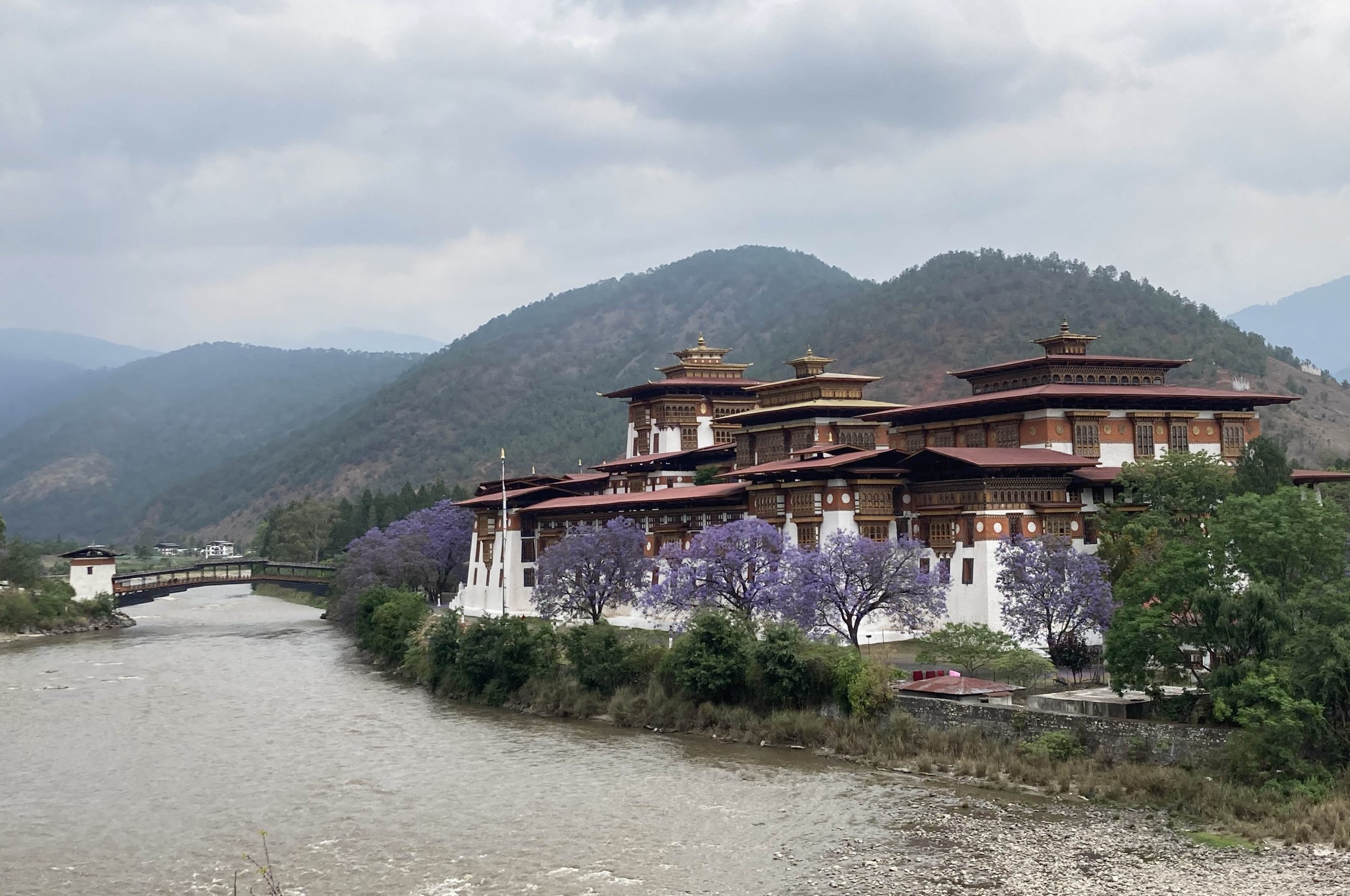 BHUTAN: Birding the land of the Thunder Dragon